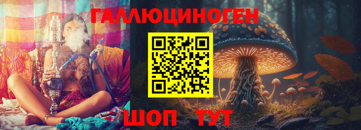 как найти закладки  Галлюциногенные грибы GOLDEN TEACHER  Вход с VPN  Дзержинск 